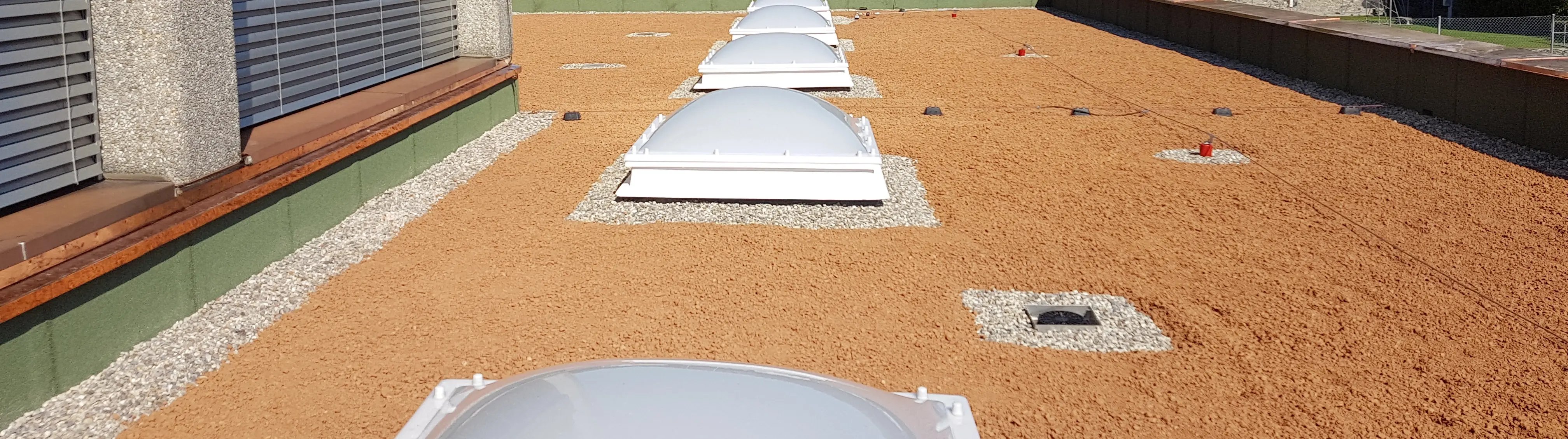 20200811_102452_Tonziegel