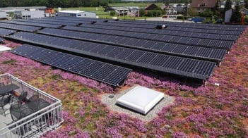 Solargründach eine ideale Lösung für Flachdächer