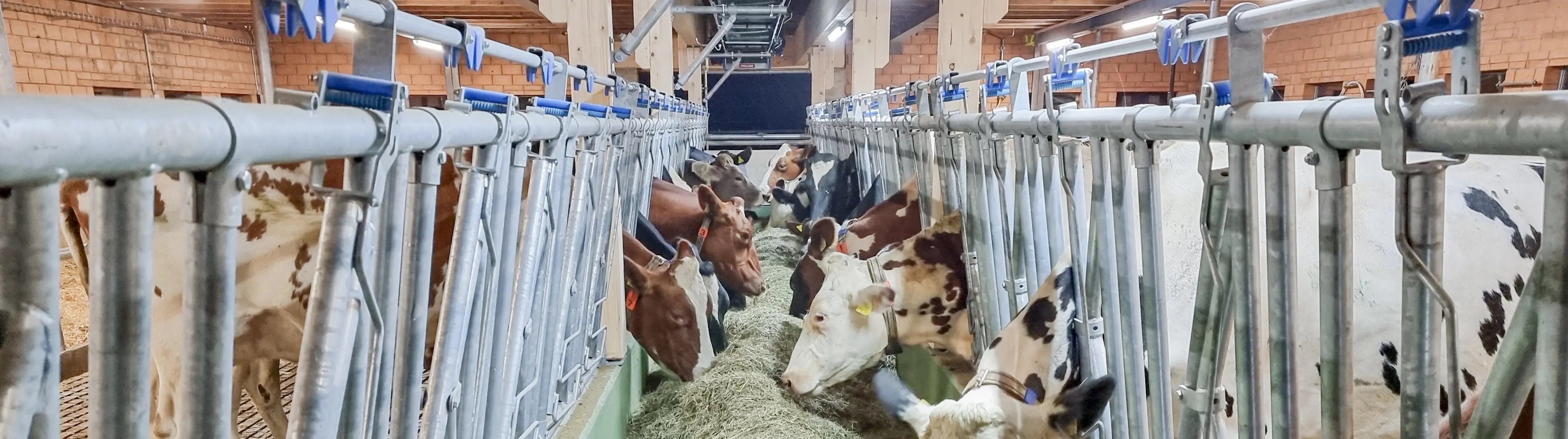 3550_2024_127998_100959_2412131171 (1)