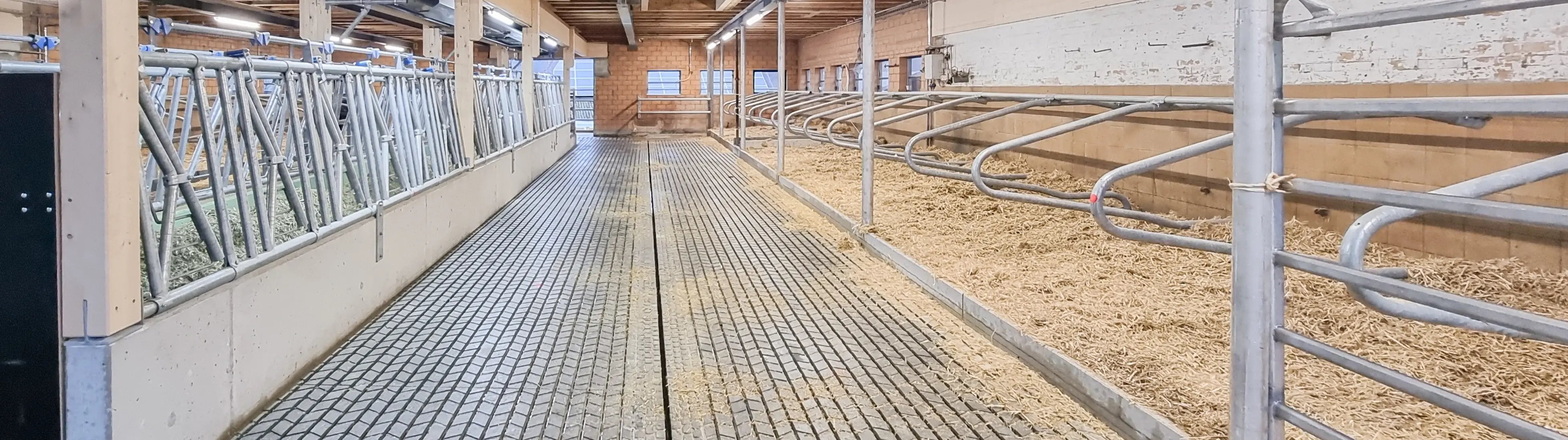 3550_2024_127998_100959_2412131171 (11)