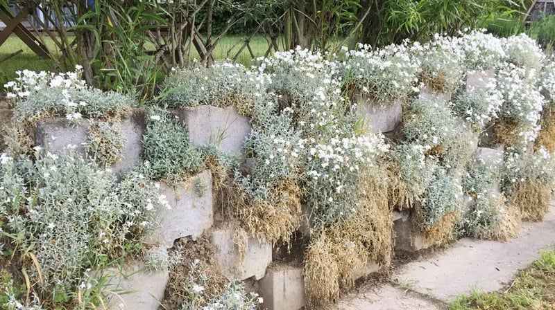 Böschungselemente 1_V2