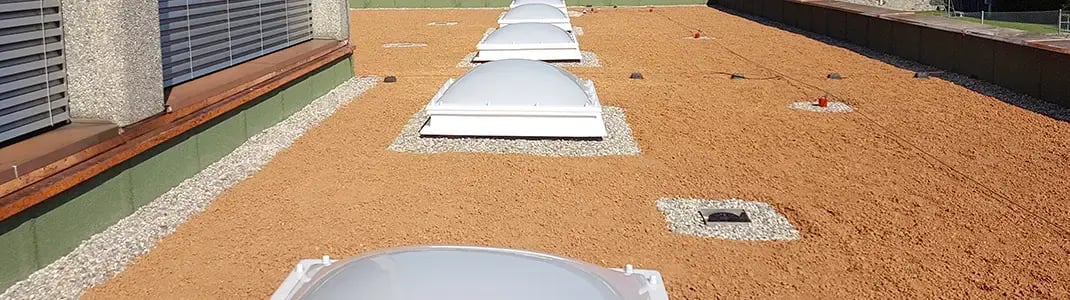 20200811_102452_Tonziegel_V2