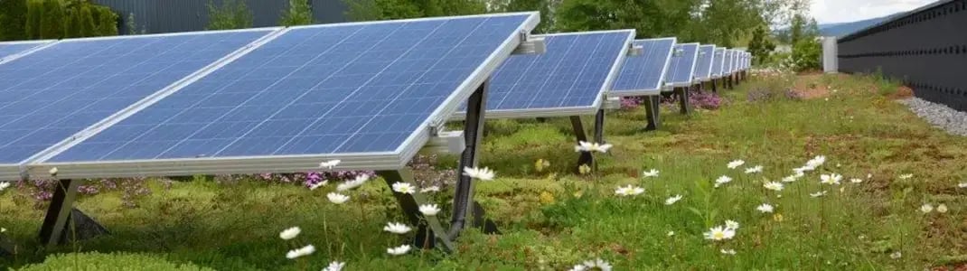 PVA_Dachbegruenung_V2