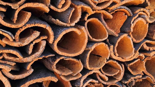iStock_Rinde