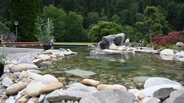 Schwimmteich-nachher