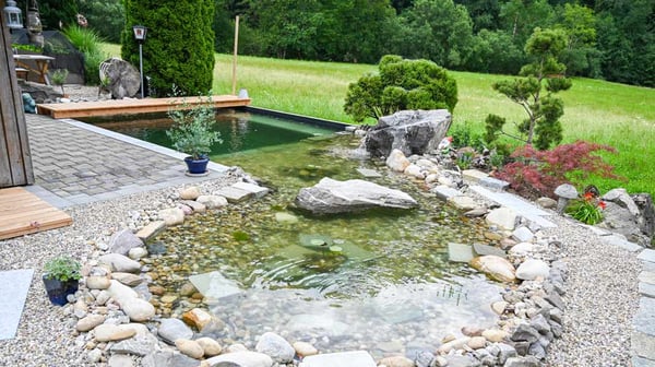 Schwimmteich