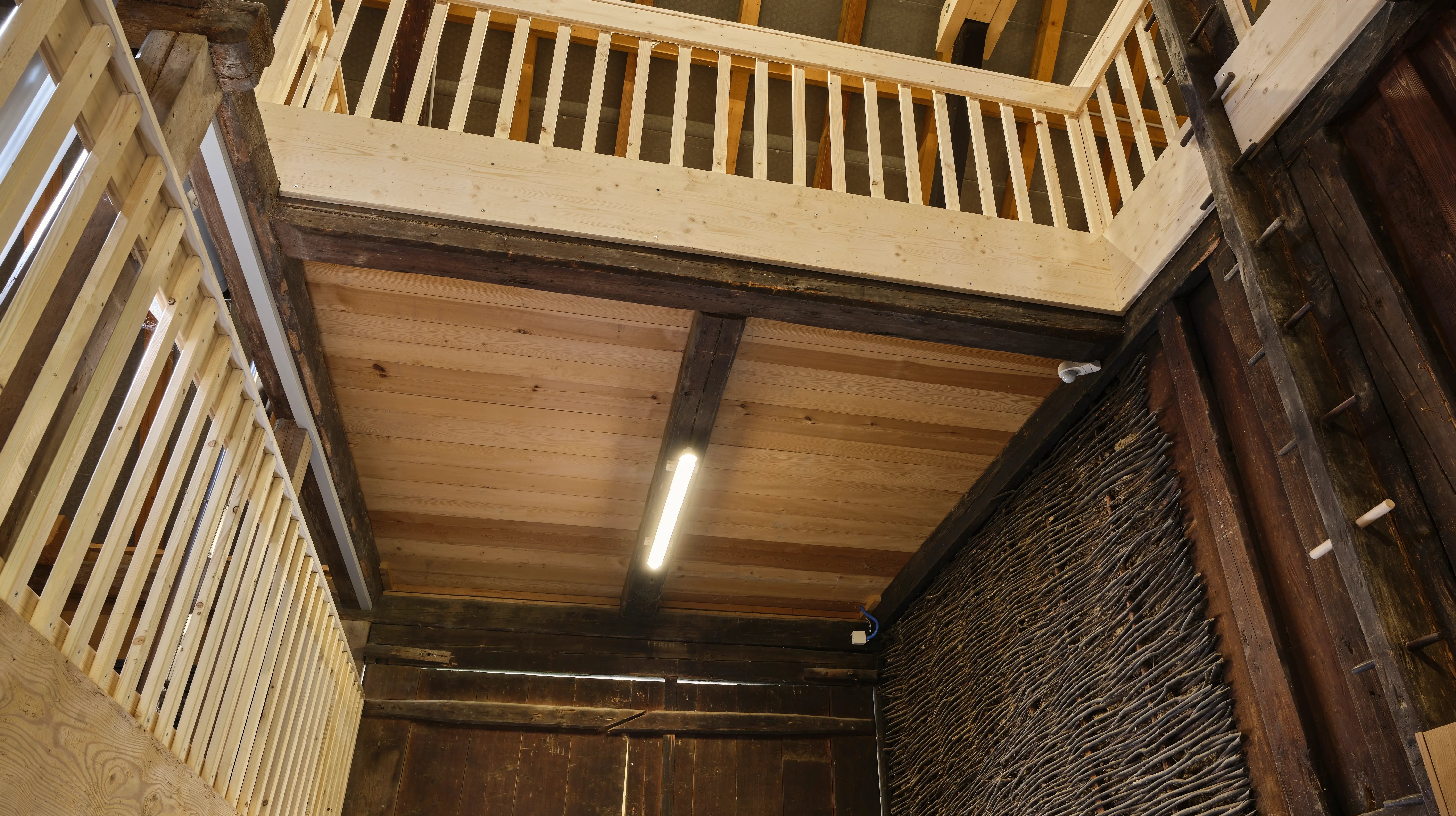 3550_2025_110395_nachher (13)