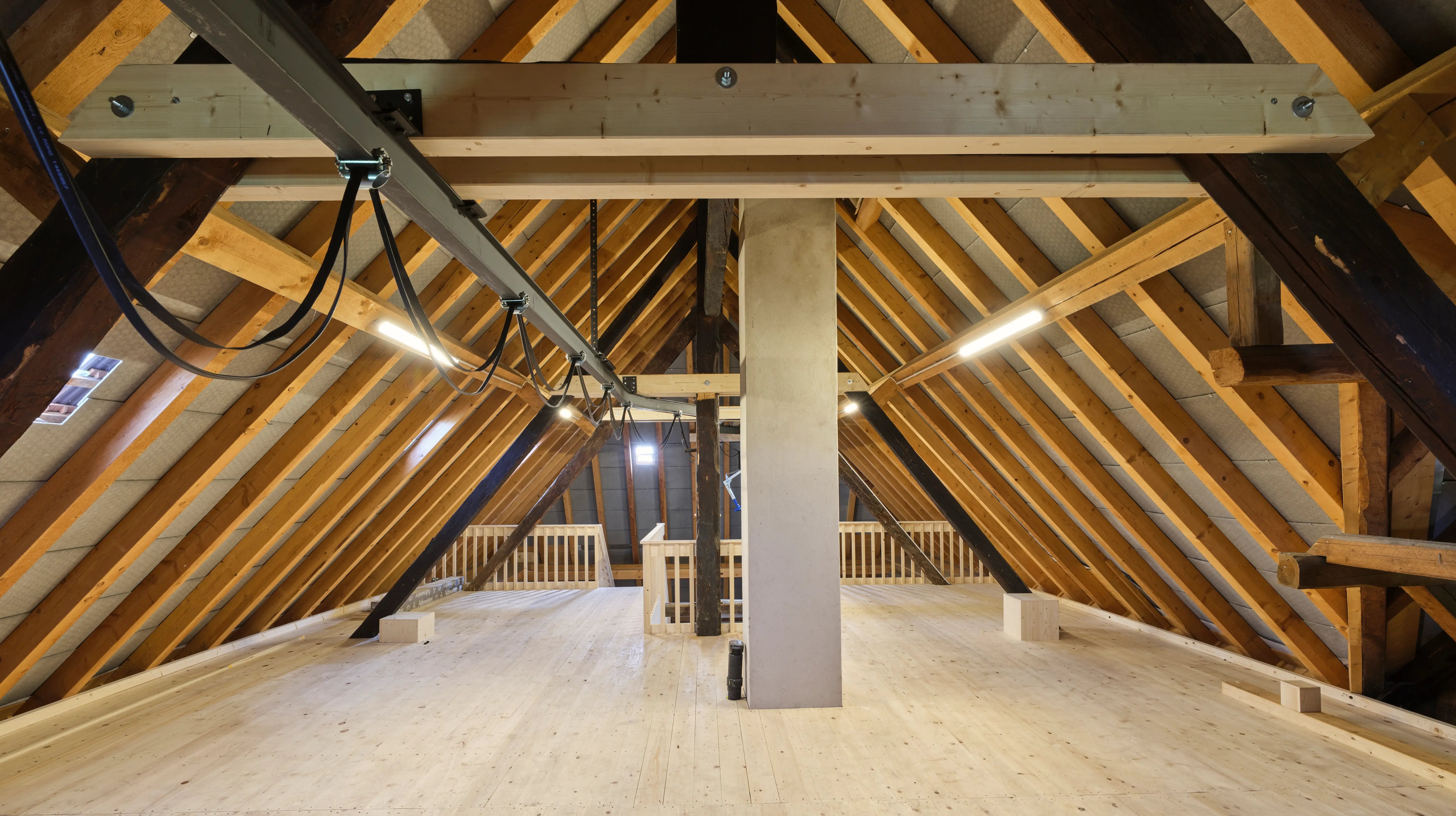 3550_2025_110395_nachher (16)