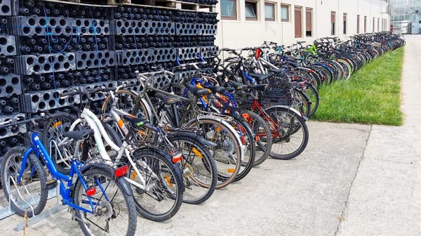 Velos_Beerenland