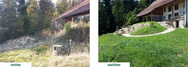 Naturgarten_vorher_nachher1