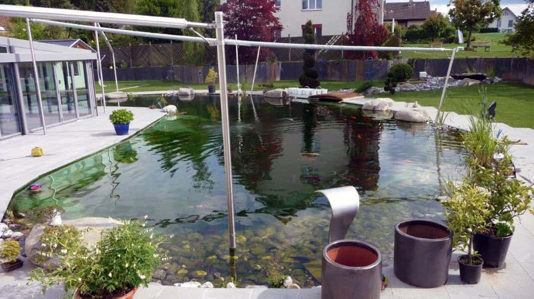 Naturteich, Schwimmteich oder Koiteich die richtige Wahl für meinen