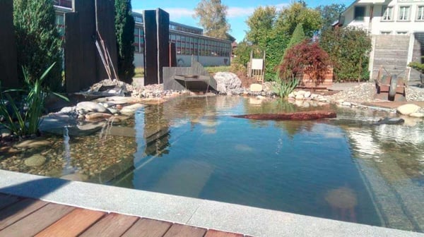 Schwimmteich_2