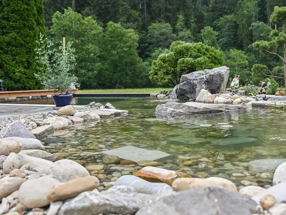 Neugestaltung Schwimmteich