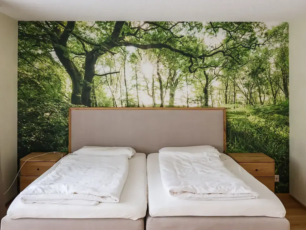 Renovation Studio Erweiterung zur bestehenden Wohnung
