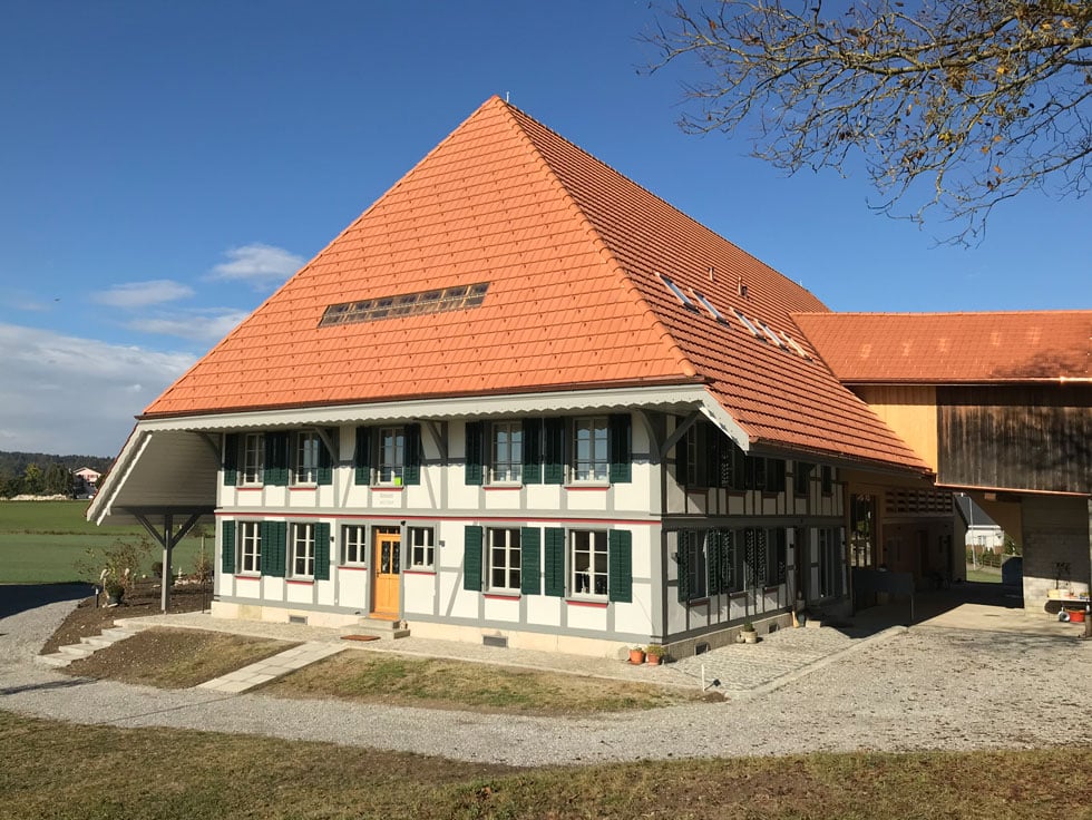 Umnutzung Bauernhaus zu MFH