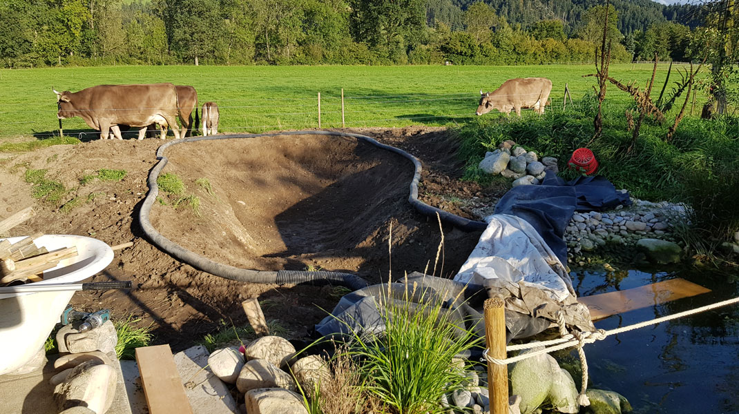 Gartenteich wird erstellt