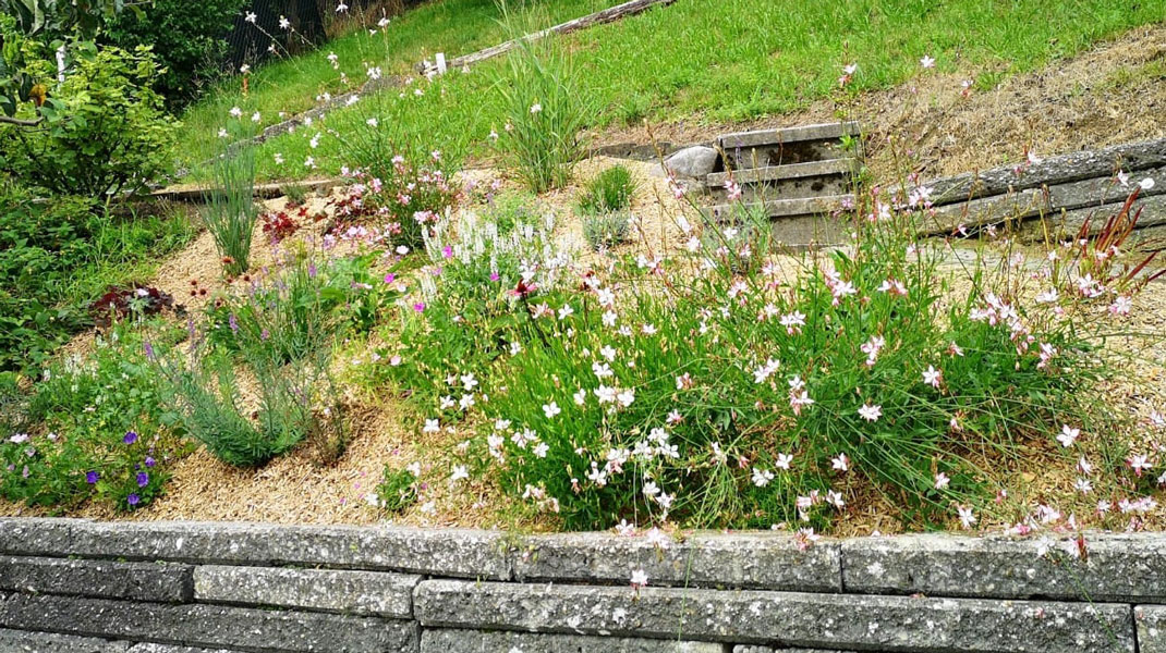 frühlingshafte Gartenbepflanzung